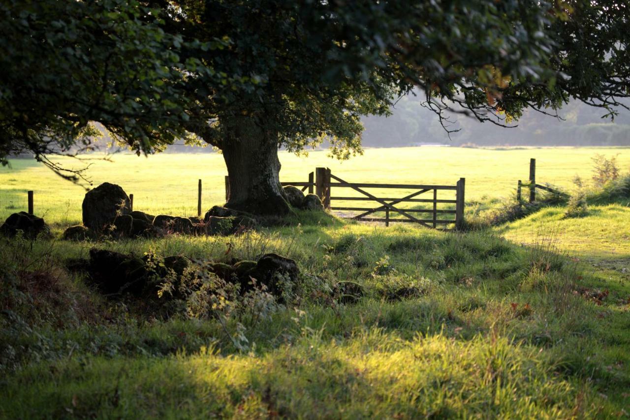 Lovaton Farmhouse Okehampton Buitenkant foto